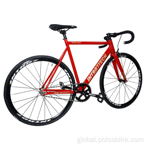 China High Quality Fixed Gear Bikes Colorful 700C Bicycle Manufactory